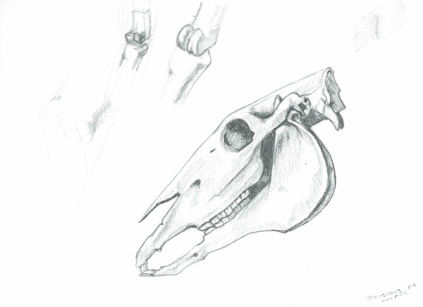 2019; 30 cm * 21 cm; Graphite on paper