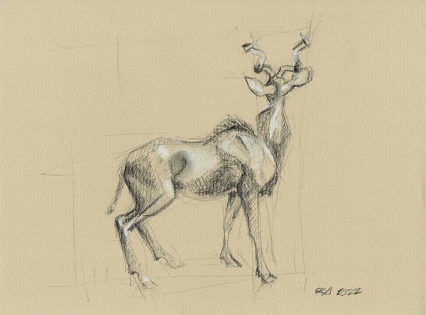 2022; 30 cm * 21 cm; Charcoal on cardboard