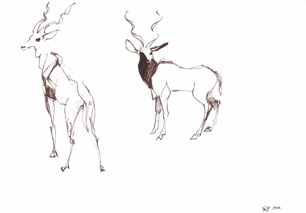 2022; 30 cm * 21 cm; Marker on paper