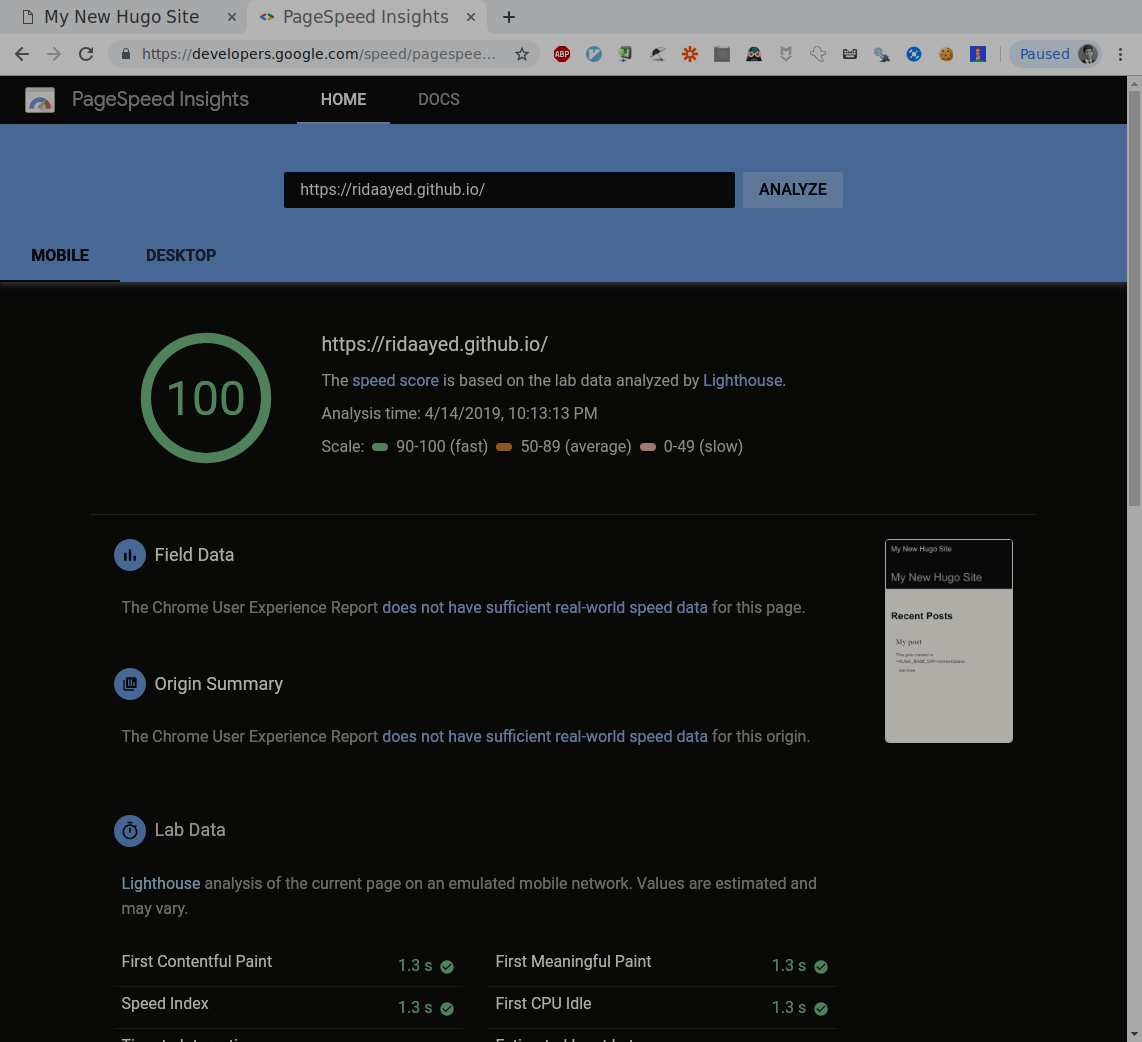 Figure 7: Screenshot - of PageSpeedInsights