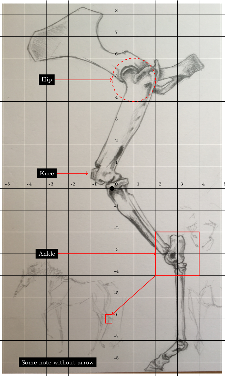 Figure 2: Help grid enabled